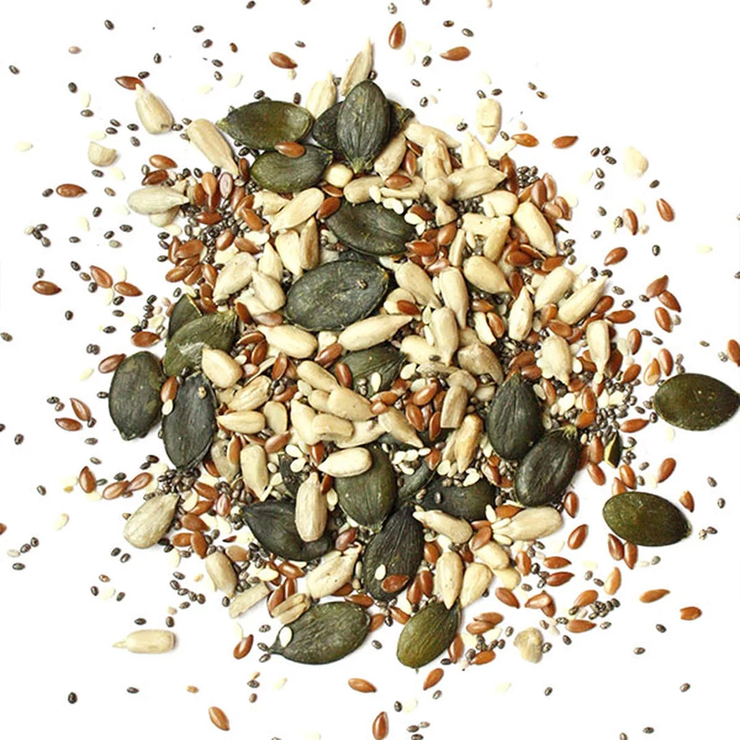 Roasted salted Seedmix | Regales Delight