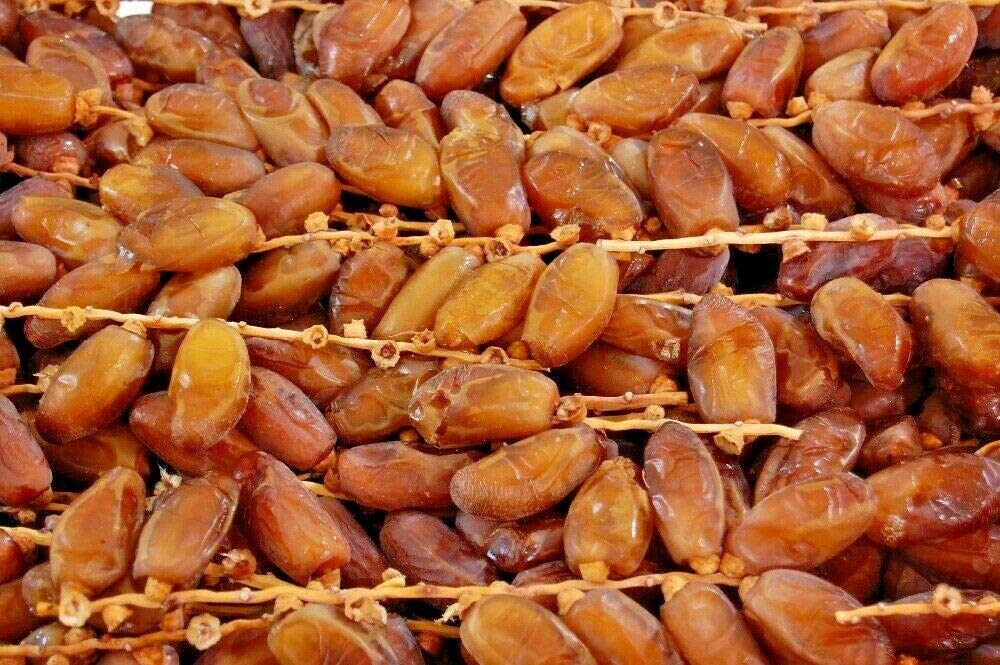 Tunisian Date with Branch | Deglet Nour | Regales Delight